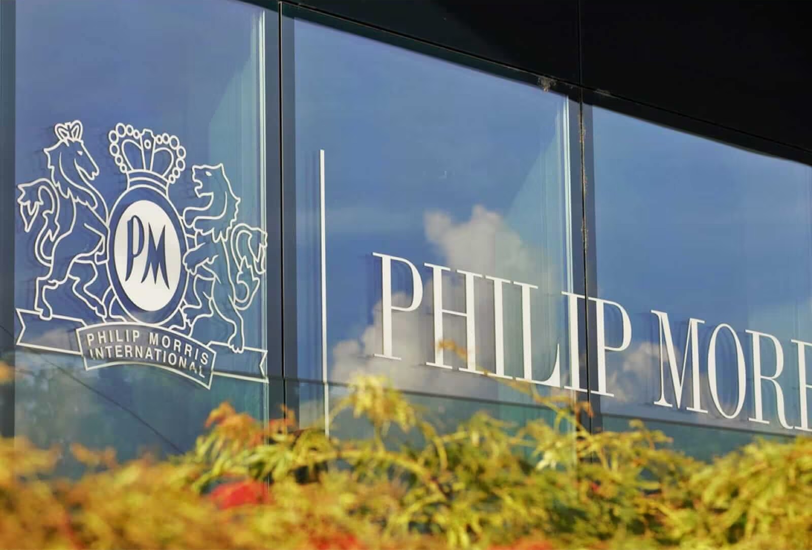 Phillip Morris: Graduate / Internship Programme 2026 / 2027